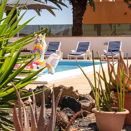Villa Sosha Splendida Rustica Con Piscina E Giardino La Oliva